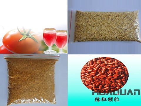 奔走在沙海、雪山的邊緣