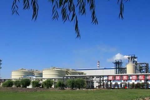 『隨華全，觀天下』 ——走進綏化