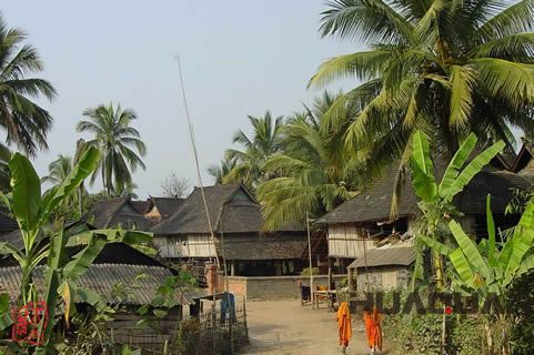 『隨華全，觀天下』 ——走進(jìn)勐海