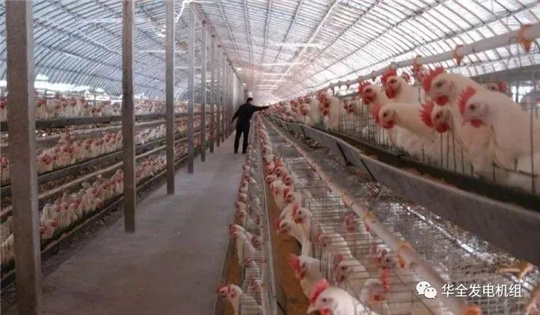 華全燃?xì)獍l(fā)電機(jī)組深受畜牧養(yǎng)殖業(yè)喜愛，竟是因為這！